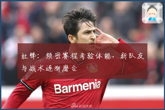 杜锋：频密赛程考验体能，新队友与战术逐渐磨合