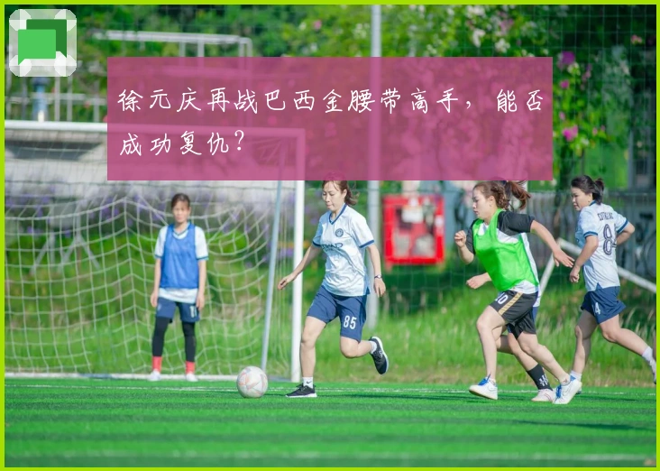 徐元庆再战巴西金腰带高手，能否成功复仇？