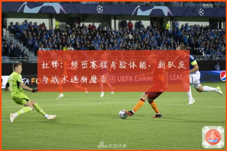 杜锋：频密赛程考验体能，新队友与战术逐渐磨合