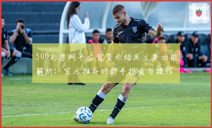 500彩票网平台背景介绍及主要功能解析：官方推荐的新手指南与操作体验分享